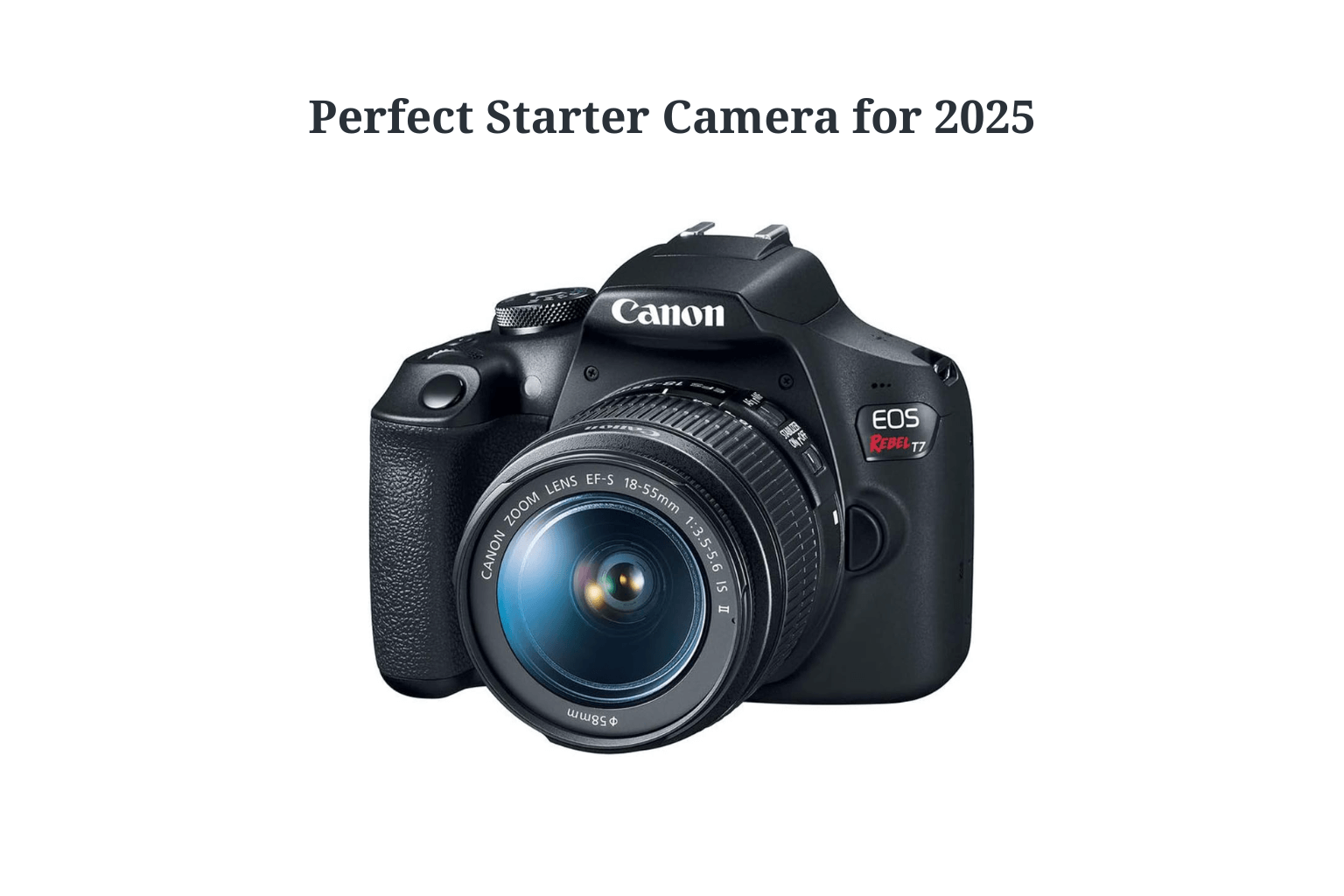Why the Canon EOS Rebel T7 Is a Perfect Starter Camera in 2025