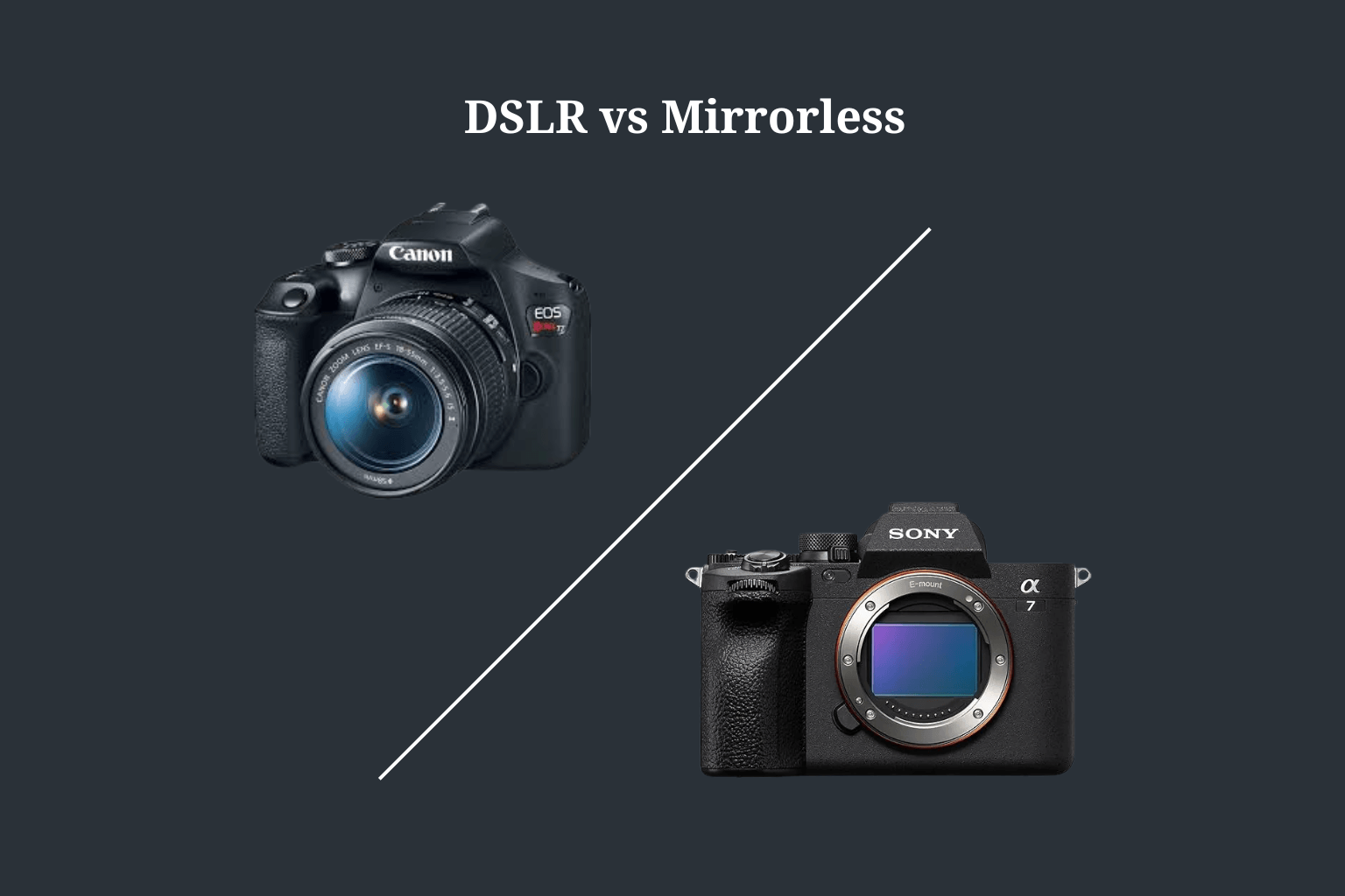 DSLR vs Mirrorless for Beginners: What Should You Choose in 2025?